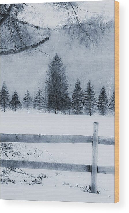  Wood Print featuring the photograph Trees in Frost Valley by Tom Romeo