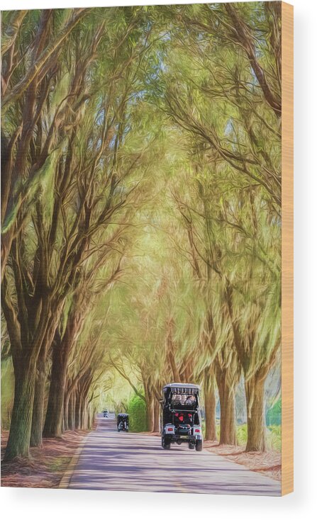 The Villages Wood Print featuring the photograph Tunnel of Trees and Golf Carts by Betty Eich