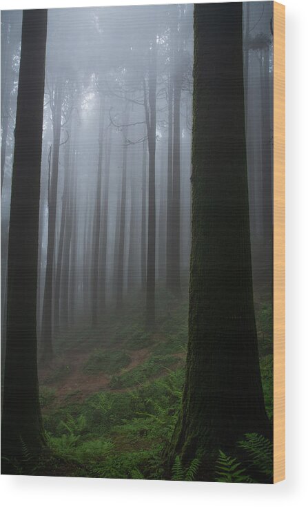  Wood Print featuring the photograph Unbound Infinity by Debartha Saha