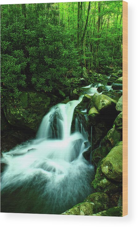 Color Wood Print featuring the photograph Upper Lynn Camp Prong Cascades by Nunweiler Photography