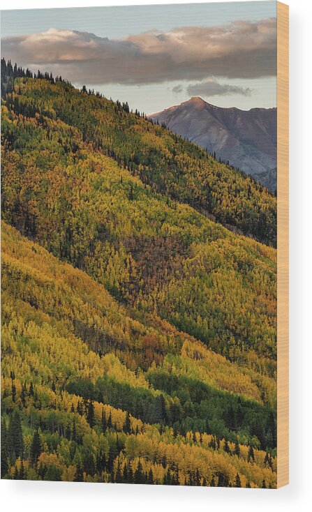 Colorado Wood Print featuring the photograph Vertical View Two by Denise Bush