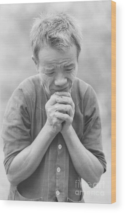 Following Wood Print featuring the photograph Viet Cong Suspect Cowering by Bettmann