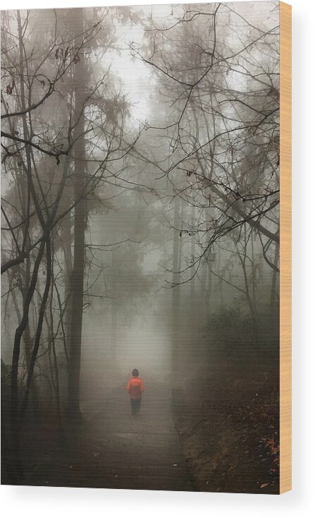 Zhangjiajie Wood Print featuring the photograph Walking Alone by Eric Zhang