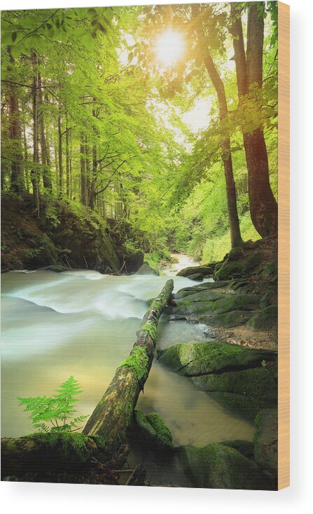 Spray Wood Print featuring the photograph Waterfall On The Mountain Stream by Konradlew