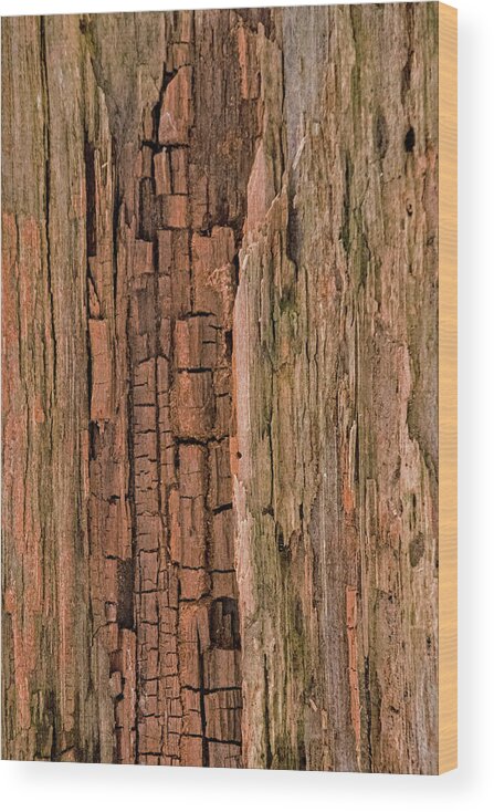 Wood Wood Print featuring the photograph Weathered Wood by Ira Marcus