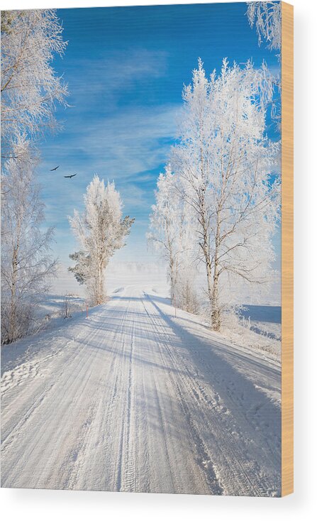 Snow Wood Print featuring the photograph White Morning by Philippe Sainte-Laudy
