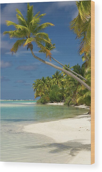 Shadow Wood Print featuring the photograph White Sandy Beach With Palm Trees In by Elmvilla