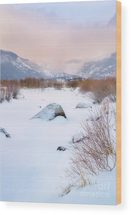 Rocky Mountain National Park Wood Print featuring the photograph Winter Morning on Moraine Park by Ronda Kimbrow