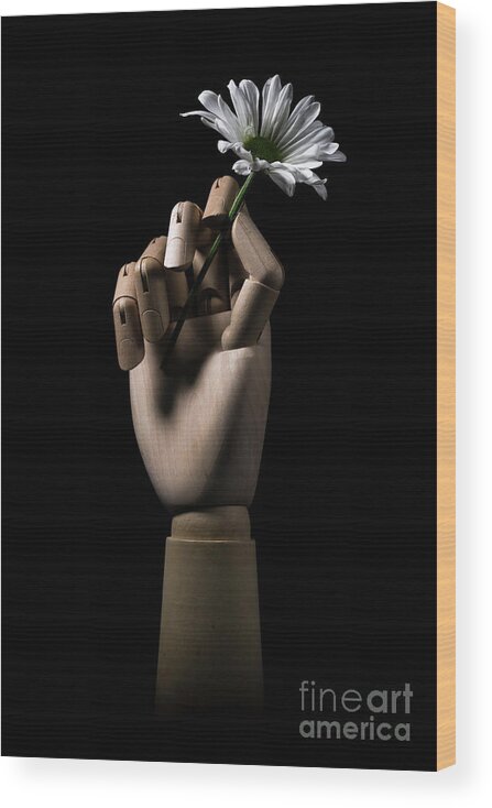 Daisy Wood Print featuring the photograph Wooden Hand Holding Flower by Edward Fielding