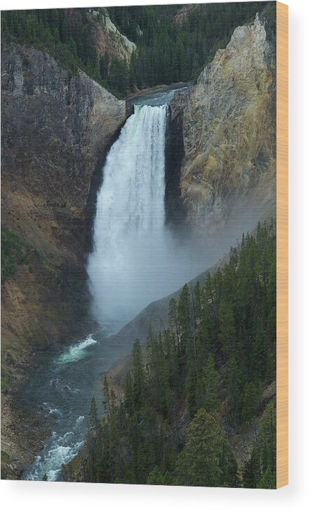 Scenics Wood Print featuring the photograph Yellowstone Lower Falls by Dominik Eckelt