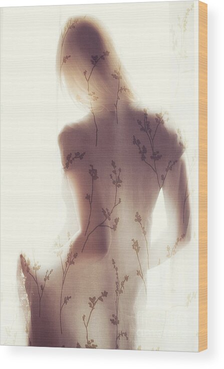 Three Quarter Length Wood Print featuring the photograph Young Woman Behind Curtain by Yankı Sivrikoz