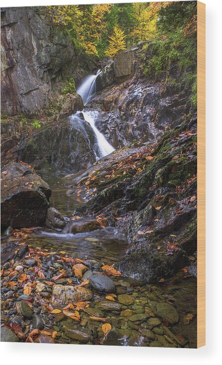 Zig Wood Print featuring the photograph Zig Zag Autumn by White Mountain Images