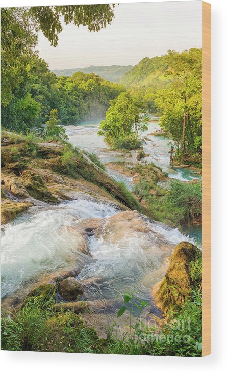 Landscape Wood Print featuring the photograph Agua Azul Waterfall #1 by THP Creative