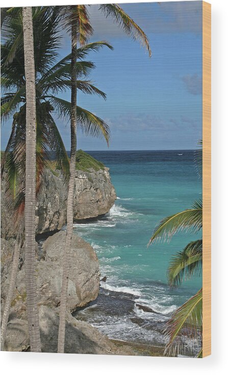 Barbados Wood Print featuring the photograph Barbados #1 by Richard Krebs