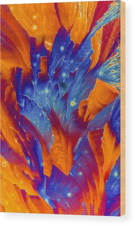 Chemistry Wood Print featuring the photograph Blue and orange crystals #1 by Jaroslaw Blaminsky