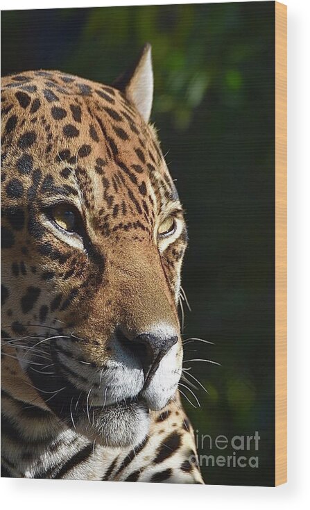 Leopard Wood Print featuring the digital art Leopard #1 by Tammy Keyes