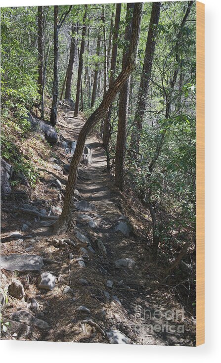 Tennessee Wood Print featuring the photograph On the Trail #1 by Phil Perkins