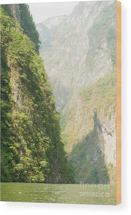 Landscape Wood Print featuring the photograph River In Sumidero Canyon Mexico #1 by THP Creative