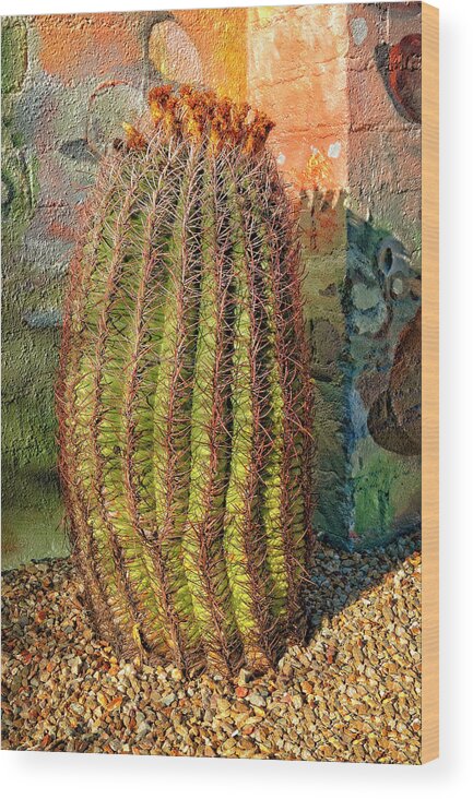 Fish Hook Barrel Cactus Wood Print featuring the photograph Fish hook barrel cactus by Sandra Selle Rodriguez