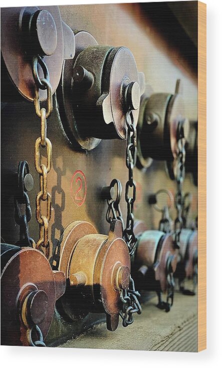 Rust Wood Print featuring the photograph Street Jewels #1 by Eena Bo