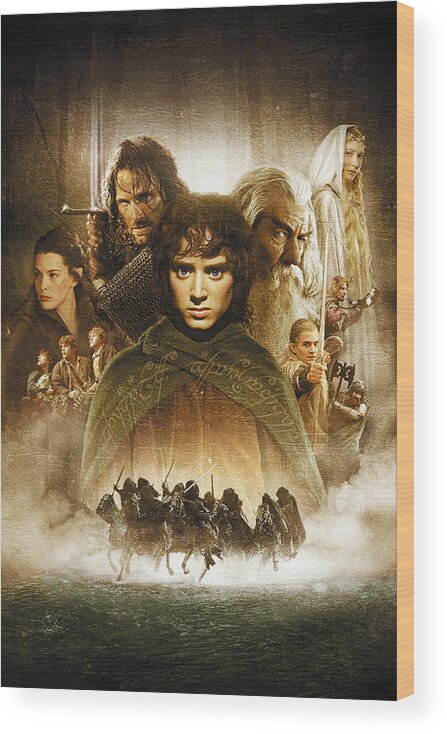 Fun with Franchises: The Lord of the Rings — The Fellowship of the Ring ( 2001), Part I — “I Want to Pour My Cruelty and Malice Into Something” | B+  Movie Blog