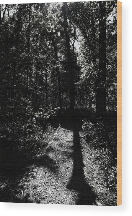 Tree Wood Print featuring the photograph The Shadow of the Tree #1 by George Taylor