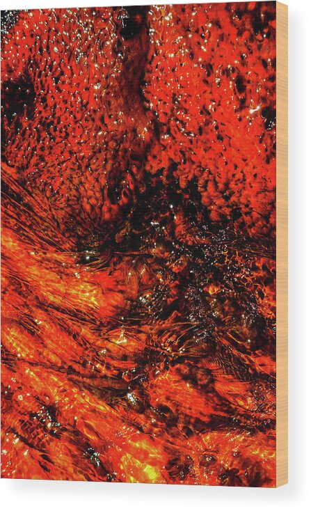 Abstract Photography Wood Print featuring the photograph Abstract Yellowstone Photography 20180518-87 by Rowan Lyford