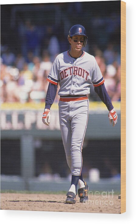 American League Baseball Wood Print featuring the photograph Alan Trammell by Ron Vesely