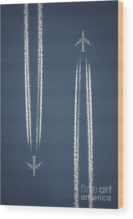 Condensation Wood Print featuring the photograph Flight #2 by Greg Bajor