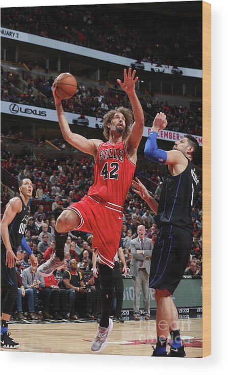 Robin Lopez Wood Print featuring the photograph Robin Lopez #2 by Gary Dineen