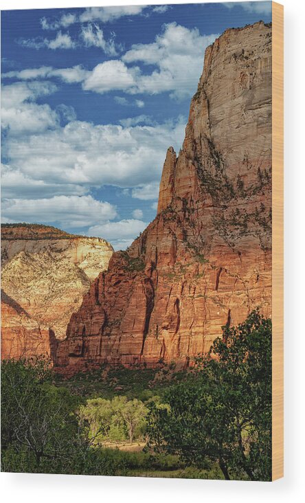Landscape Wood Print featuring the photograph Zion National Park In Utah #2 by Jim Vallee