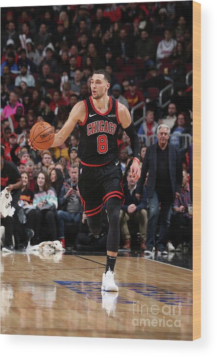 Chicago Bulls Wood Print featuring the photograph Zach Lavine by Gary Dineen