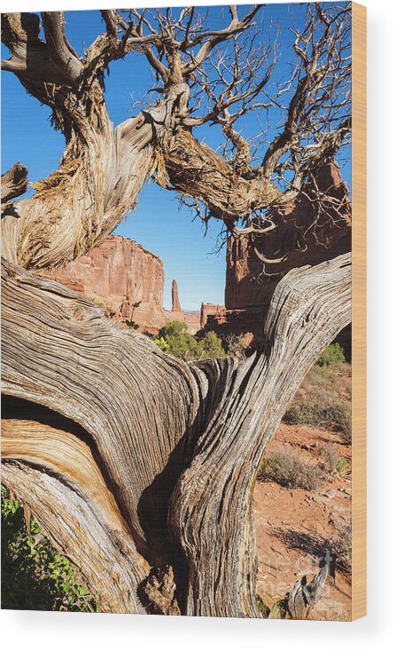 Arches National Park Wood Print featuring the photograph Arches National Park #38 by Raul Rodriguez