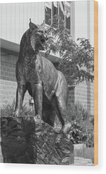 Montana State University Wood Print featuring the photograph Montana State University Bobcat statue in black and white #4 by Eldon McGraw