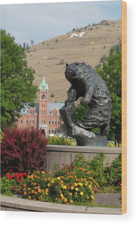 Grizzlies Wood Print featuring the photograph The Grizzly statue at the University of Montana - Grand Griz #4 by Eldon McGraw