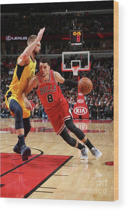 Chicago Bulls Wood Print featuring the photograph Zach Lavine by Gary Dineen