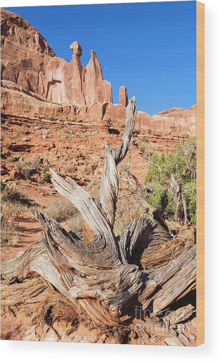 Arches National Park Wood Print featuring the photograph Arches National Park #44 by Raul Rodriguez