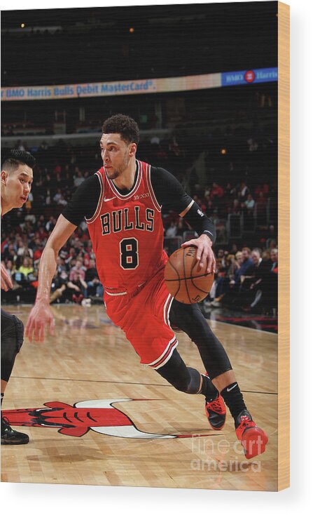 Zach Lavine Wood Print featuring the photograph Zach Lavine #5 by Gary Dineen