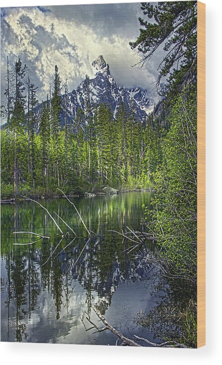 Field Wood Print featuring the photograph The Grand Tetons #7 by Phil Koch