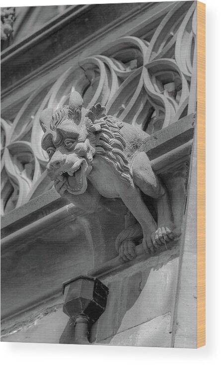 Architecture Wood Print featuring the photograph A Grotesque in Strasbourg - 6 by W Chris Fooshee