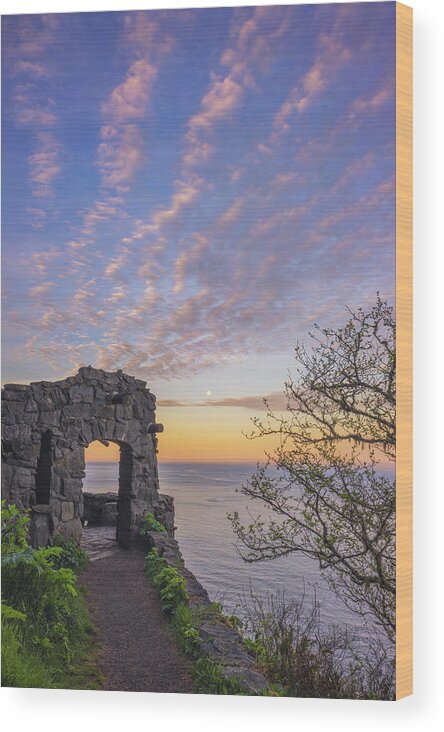 Oregon Wood Print featuring the photograph A Lookout to the Sea by Darren White