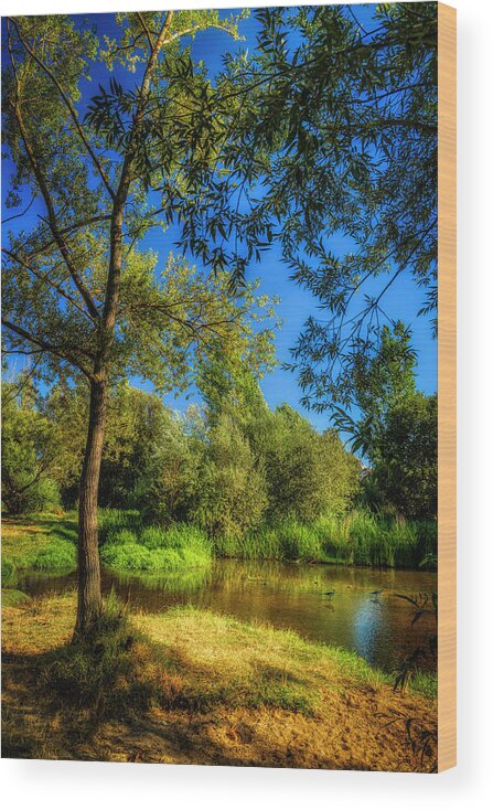 By The River Wood Print featuring the photograph A peaceful spot 1 by Micah Offman