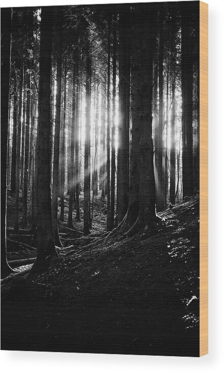 October2022 Wood Print featuring the photograph A ray of light, or two by Gavin Lewis