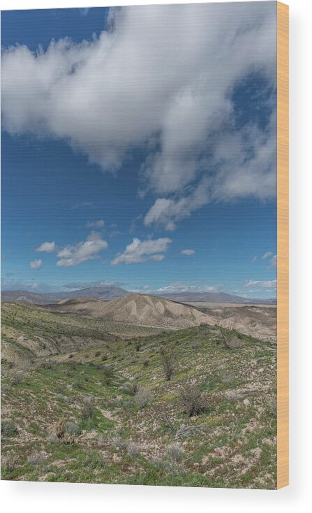 Anza-borrego Desert State Park Wood Print featuring the photograph Abd108 by TM Schultze