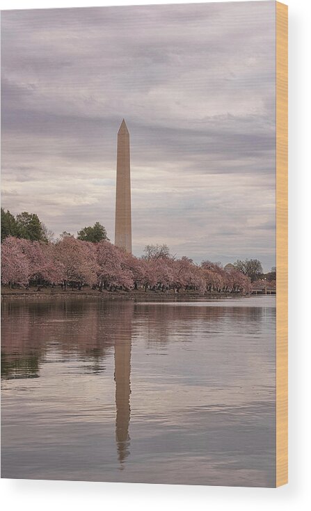 Washington D.c. Wood Print featuring the photograph After The Rain 10 by Robert Fawcett