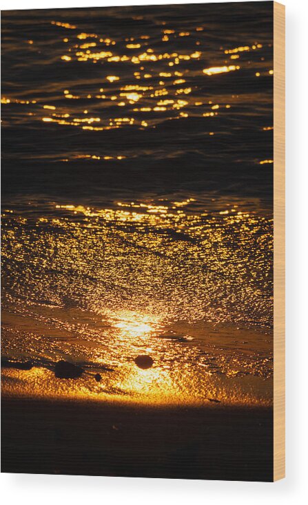 Gold Wood Print featuring the photograph All That Glitters is Gold by Linda Bonaccorsi
