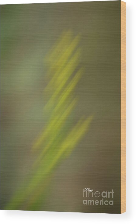 Wildflowers Wood Print featuring the photograph Altered Reality 26 - Wildflower ICM Impressionistic Art by DB Hayes
