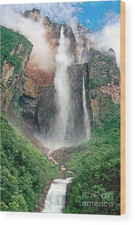 Angel Falls Wood Print featuring the photograph Angel Falls in Venezuela by Dave Welling