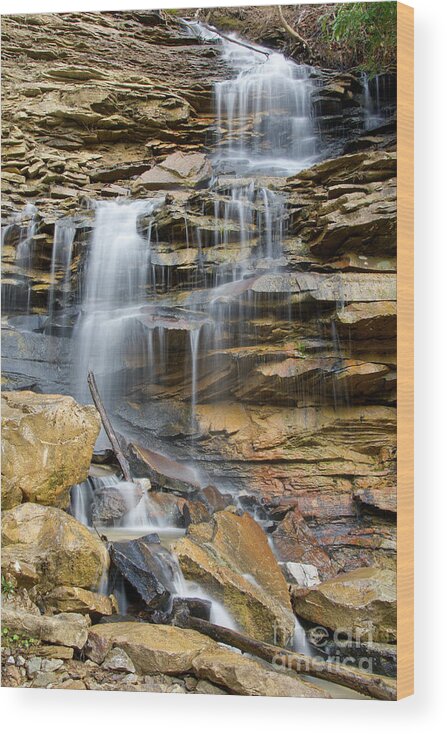 Triple Falls Wood Print featuring the photograph Another Waterfall On Bruce Creek 2 by Phil Perkins