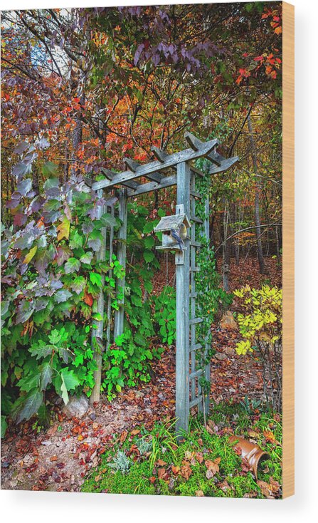 Andrews Wood Print featuring the photograph Arbor in the Garden by Debra and Dave Vanderlaan